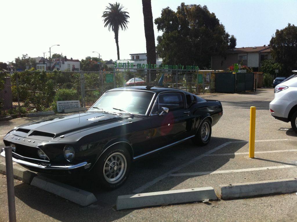 mustang_giddyup