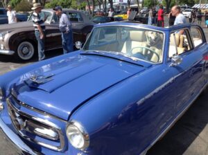 dog behind the wheel