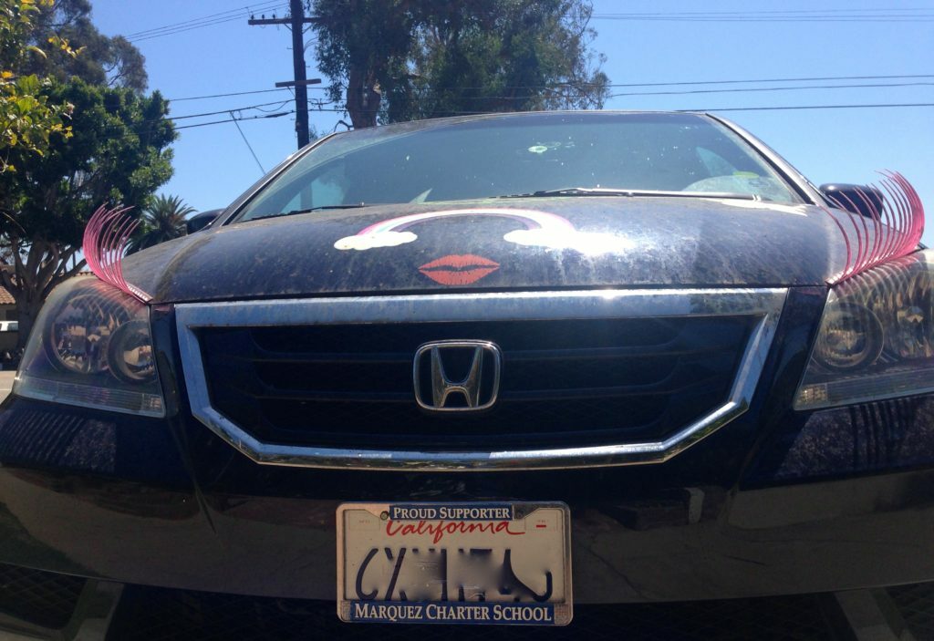 Palisades Party Van Palisades Party Van