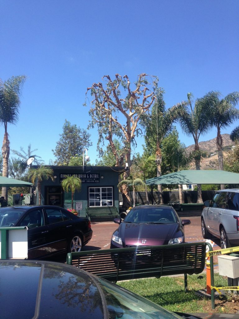 Motorhead Mama Mr Clean Car Wash