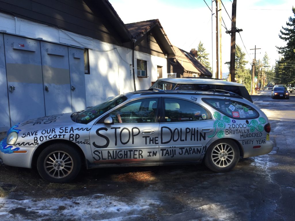 Something's Fishy car Freak of the Week