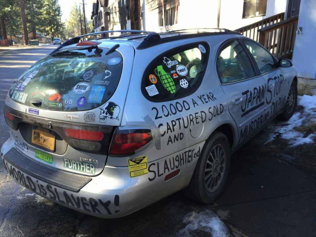 Something's Fishy Freak Of The Week