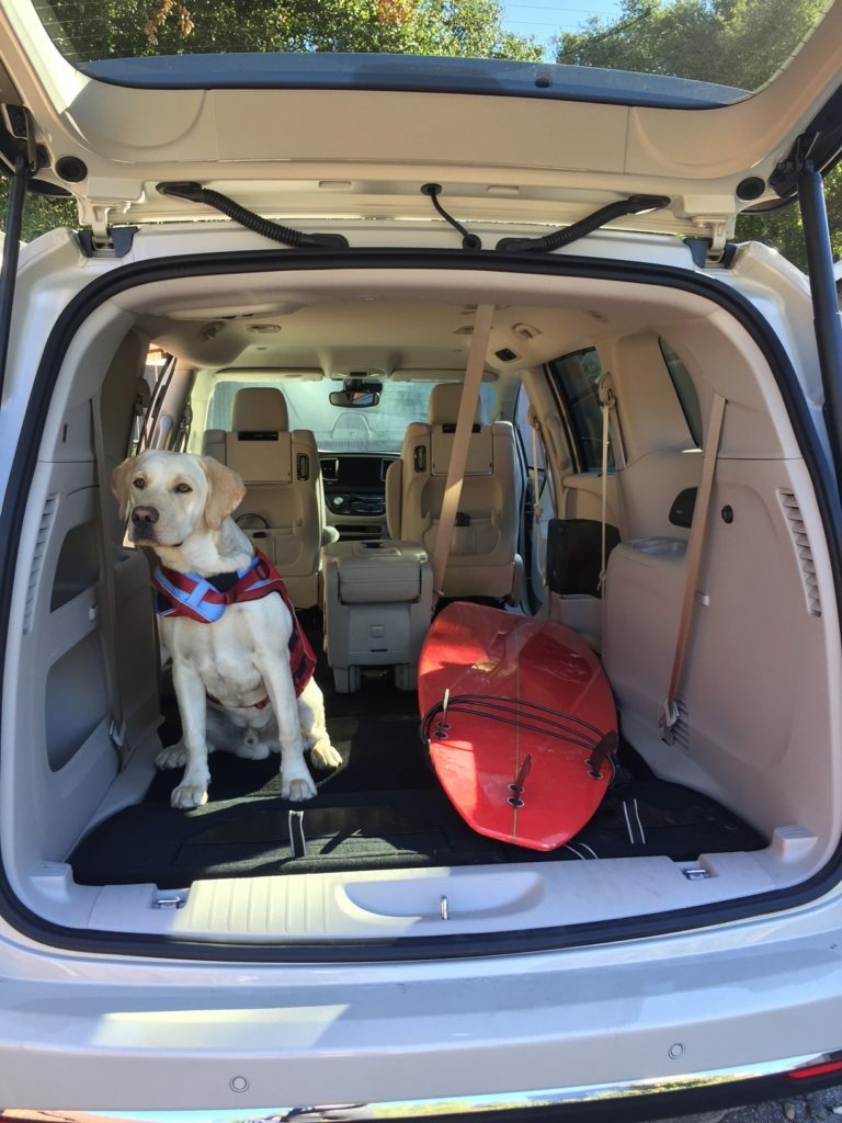 Chrysler Pacifica surf dog
