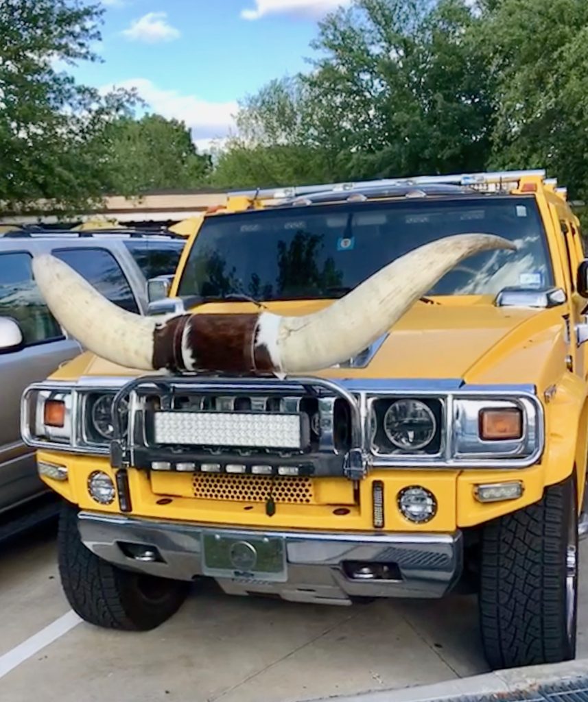 horned Hummer