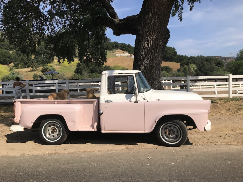 International Pickup Wanda