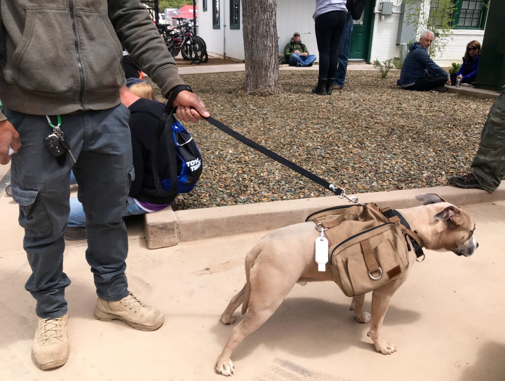overland expo 2019 dogs