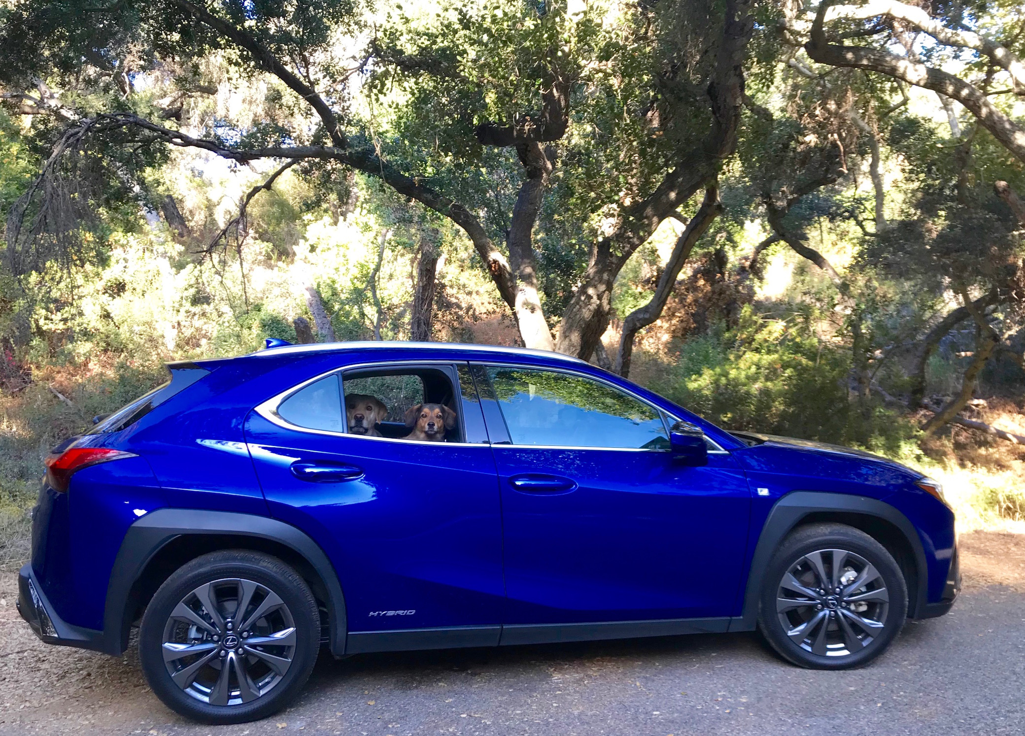 fino LEXUS UX250h UX200 UX フロアマット ブラック×アイボリーステッチ FINO-UX-5P-BKI 2025 Lexus UX Hybrid \u2013 Luxury Crossover |