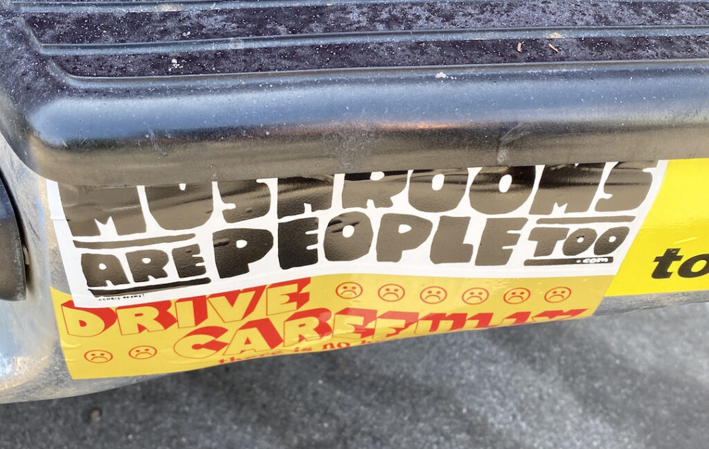 bumper sticker