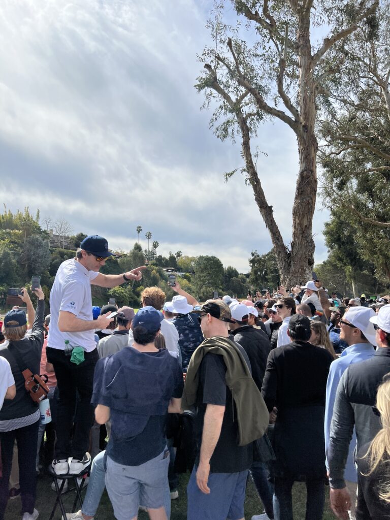 crowd watching Tiger Woods