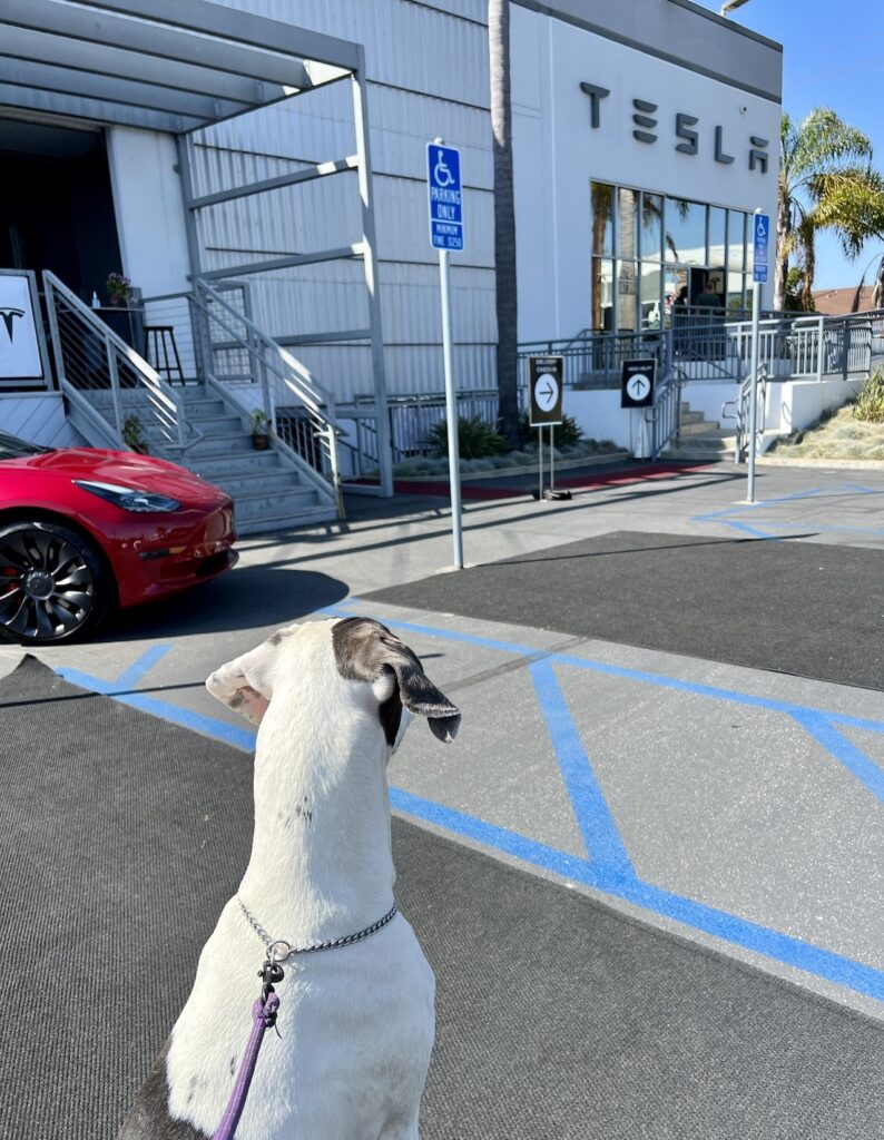 Tesla supercharger